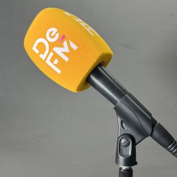 Windscreen Microphone logo