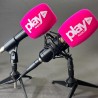 Windscreen Custom Microphone