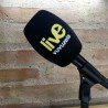 Windscreen Custom Microphone